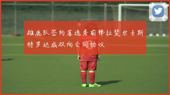 雄鹿队签约落选秀前锋拉斐尔卡斯特罗达成双向合同协议
