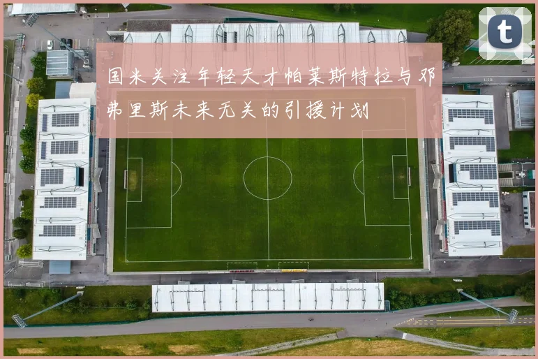 国米关注年轻天才帕莱斯特拉与邓弗里斯未来无关的引援计划