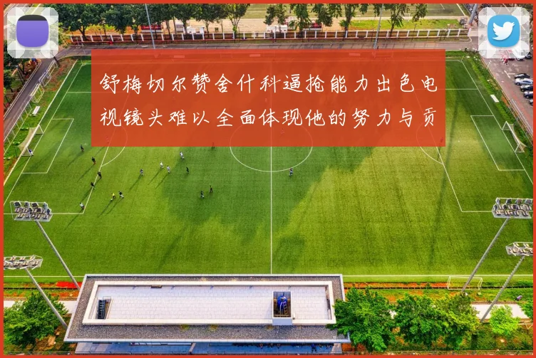 舒梅切尔赞舍什科逼抢能力出色电视镜头难以全面体现他的努力与贡献